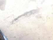 Radhausschale - Hinten Rechts Volkswagen Sharan, 7M 1995.09 - 2000.04 7m0810972e, 7m0810972-e