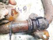 Stabilisator Vorne Volkswagen Passat, B5 1996.08 - 2000.11 Gebraucht, AJM