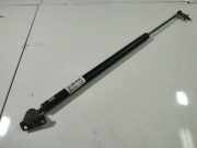 Gasdruckfeder Kofferraum Mitsubishi Grandis, I 2004.01 - 2009.12 Gebraucht,