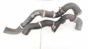 Intercooler Schlauch Nissan Primera, P12 2002.01 - 2008.12 Gebraucht,