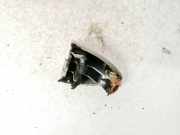 Türgriff Außen Endkappe Kia Venga 2009 - 2019 Gebraucht,