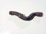 Kühlerschlauch Citroen C4 Grand Picasso, I 2006.01 - 2013.06 Gebraucht,