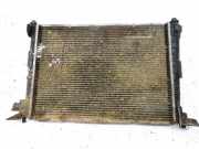 Wasserkühler Ford Fiesta, IV 1995.08 - 2000.06 8817804,