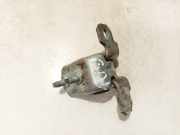 Türscharnier Hinten Renault Espace, IV 2002.11 - 2014.12 Gebraucht,
