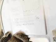 Innenausstattung Ford Grand C-MAX, 2011.01 - 2019 am51r61304acw, am51-r61304-acw