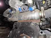 Abgaskühler AGR-Kühler Opel Zafira, B 2005.07 - 2008.01 Gebraucht,