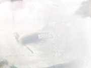 Zierleiste Tür Zier-Schutzleiste - Vorne Linke Citroen Jumper, II 2006 - 2016.12 1306612070,