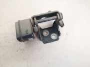 Türscharnier Hinten Peugeot 207, 2006.02 - 2009.06 Gebraucht,