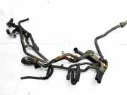 Kühlerschlauch Volkswagen Touareg, 2002.10 - 2007.09 Gebraucht, bac