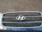 Kühlergrill Frontgrill Kühlergitter Hyundai Santa Fe, 2006.03 - 2012.09 Gebraucht,