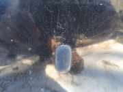 Waschwasserdüse Scheibenreinigung Ford Focus, 1998.10 - 2002.10 Gebraucht,