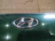 Emblem Hyundai Lantra, 1996.02 - 2000.09 Gebraucht,