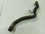 Kühlerschlauch Nissan Primera, P12 2002.01 - 2008.12 Gebraucht,
