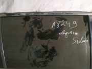 Seitenscheibe - Hinten Rechts Subaru Legacy, BM, BR 2009.09 - 2014.06 Gebraucht,