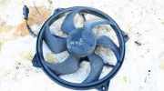 Kühlerlüfter Lüftermotor Peugeot 307, 2000.08 - 2005.06 Gebraucht ,