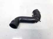 Kühlerschlauch Volkswagen Lupo 1998 - 2005 6E0145828B, Ayz