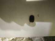 Waschwasserd?se Scheibenreinigung Mitsubishi Colt, 2003.09 - 2008.09 Gebraucht,