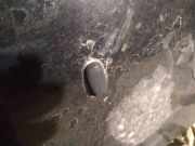 Waschwasserdüse Scheibenreinigung Ford Mondeo, 2007.03 - 2013.06 Gebraucht,