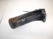 Aktivkohlefilter Renault Laguna, I 1994.01 - 2001.03 7700858244,