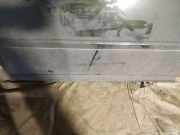 Zierleiste Tür Zier-Schutzleiste - Vorne Rechts Volvo V50, 2004.04 - 2007.05 Gebraucht,