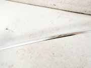 Zierleiste Leiste - Hinten Linke Volkswagen Phaeton, 2002.04 - 2006 Gebraucht, BMK