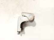 Türscharnier Hinten Renault Scenic, III 2009.02 - 2013.06 Gebraucht,