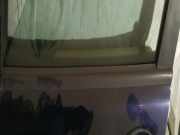 Zierleiste Leiste - Vorne Linke SAAB 9-3, 1998.02 - 2002.09 Gebraucht,