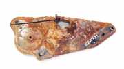 Federteller Citroen C4 Picasso, I 2006.01 - 2013.06 Gebraucht,