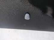 Waschwasserdüse Scheibenreinigung Hyundai Santa Fe, 2000.11 - 2006.03 Gebraucht,