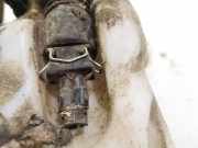 Waschwasserpumpe Scheibenreinigung Opel Astra, G 1998.09 - 2004.12 Gebraucht,