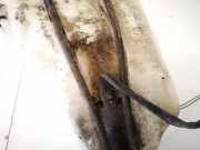 Waschwasserpumpe Scheibenreinigung Citroen C2, I 2003.09 - 2006.06 8200194414,