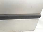 Zierleiste T?r Zier-Schutzleiste - Vorne Linke Renault Laguna, I 1994.01 - 2001.03 Gebraucht,