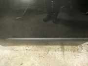 Zierleiste Tür Zier-Schutzleiste - Vorne Linke Fiat Doblo, 2009.08 --> Gebraucht,