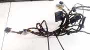 Kabelbaum Renault Megane, III 2008.11 - 2012.06 Gebraucht ,