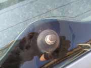 Wischermotor - Hinten Citroen C3, I 2002.02 - 2005.06 Gebraucht,