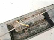 Kennzeichenleuchte Peugeot Boxer, 1994.03 - 2002.04 a802633171,