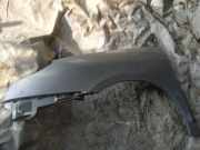 Kotflügel - Vorne Linke Citroen C8, I 2002.07 - 2008.06 pilkas,