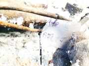 Lenkgetriebe Jaguar X-Type, 2001.06 - 2007.11 LHD,