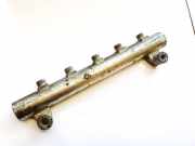 Kraftstoffverteiler Opel Antara, 2006.01 - 2010.08 0445214174, 003480