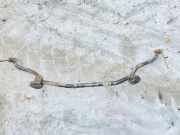 Stabilisator Vorne Opel Signum, 2003.05 - 2008.06 Gebraucht,