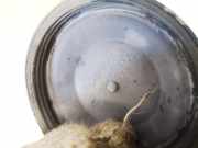 Blende Scheinwerfer - Vorne Volkswagen Passat, B6 2005.08 - 2010.11 89004031, BLS