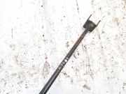 Stabilisator Stabi Hinten Hinterachse Renault Kangoo, 2003.05 - 2007.06 Gebraucht,