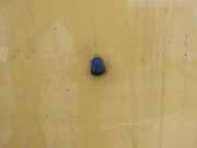 Waschwasserdüse Scheibenreinigung Rover 45, 2000.02 - 2005.05 Gebraucht,