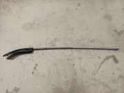 Dachreling Linke Citroen C4 Grand Picasso, I 2006.01 - 2013.06 Gebraucht,
