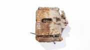Bremssattel - Vorne Rechts Land-Rover Freelander, 1998.02 - 2006.10 Gebraucht,