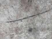 Seilzug Feststellbremse Audi TT, 2006.08 - 2014.06 8J0609722E,