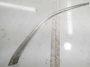 Zierleiste Leiste - Hinten Rechts Opel Insignia A, 2008.01 - 2013.01 Gebraucht,