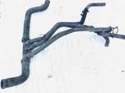 Kühlerschlauch Renault Laguna, II 2001.03 - 2006.05 hsr20563,