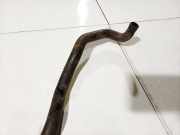 K?hlerschlauch Nissan Primera, P12 2002.01 - 2008.12 Gebraucht,