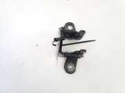 Türscharnier Hinten Chrysler Sebring, III 2007.05 - 2010.12 85574f,256abr